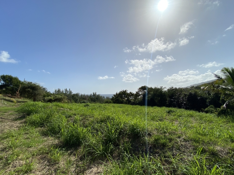 Land For Sale in Barbados Buy land in Barbados.