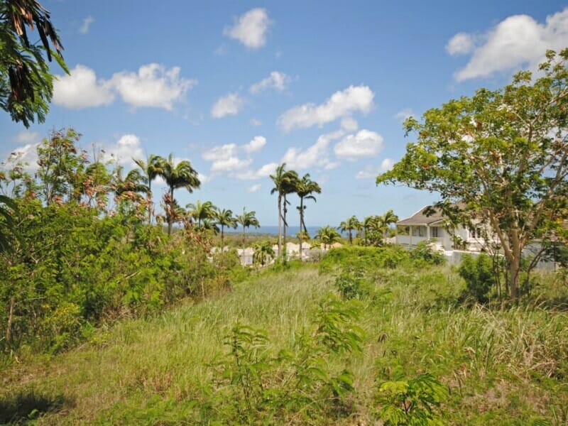 Buying Land In Barbados